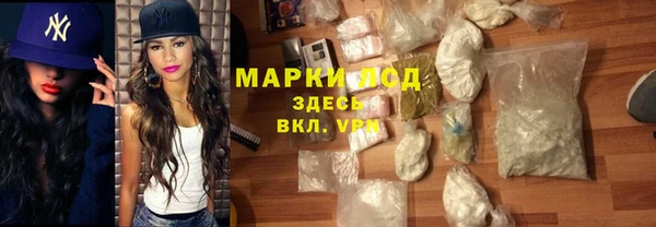 стаф Новодвинск