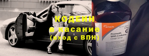 крисы Новозыбков