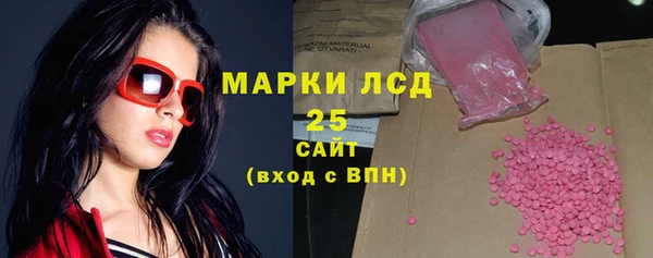 крисы Новозыбков