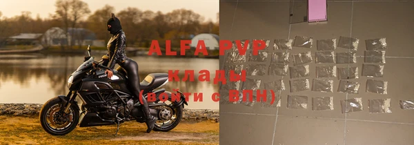 стаф Новодвинск