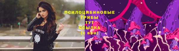 крисы Новозыбков