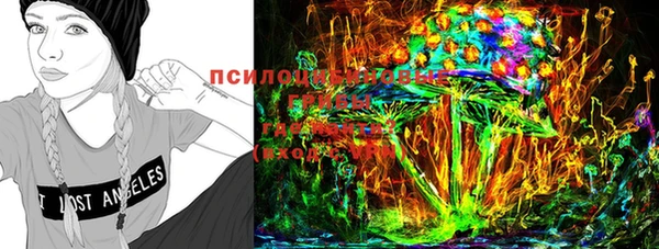 крисы Новозыбков