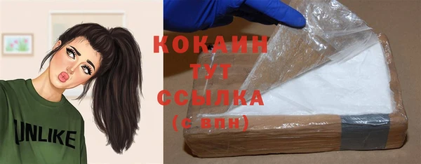 стаф Новодвинск