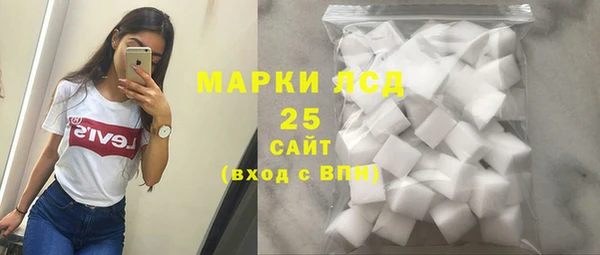 крисы Новозыбков