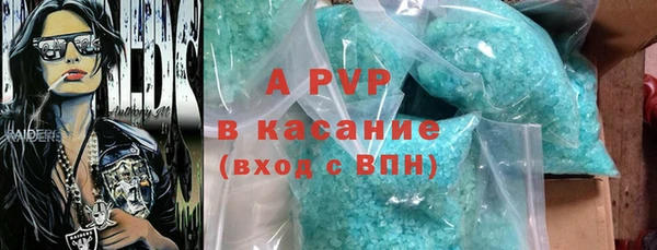 стаф Новодвинск