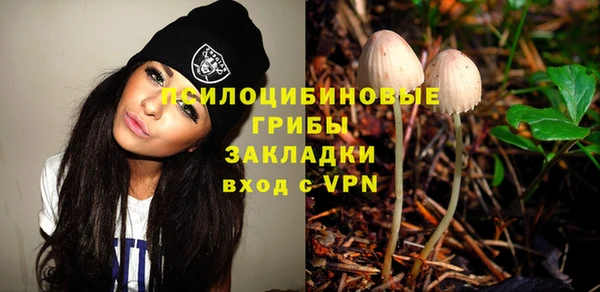 стаф Новодвинск