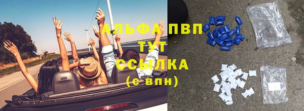 стаф Новодвинск