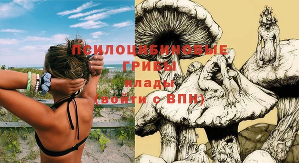 дживик Новокубанск