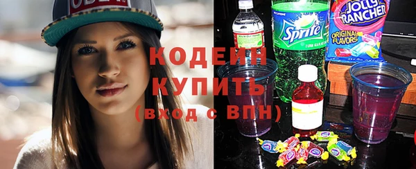 крисы Новозыбков