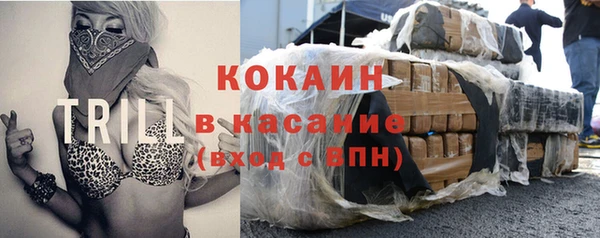 крисы Новозыбков