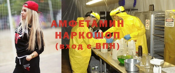 крисы Новозыбков