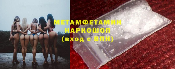 крисы Новозыбков
