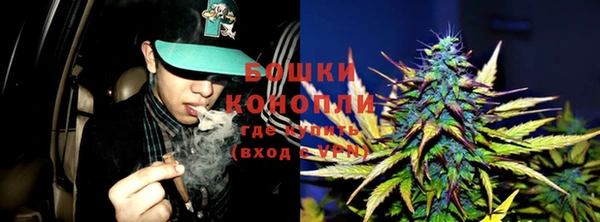 дживик Новокубанск