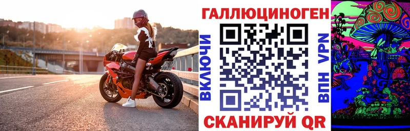 Купить где  Трубчевск  Псилоцибиновые грибы мицелий 
